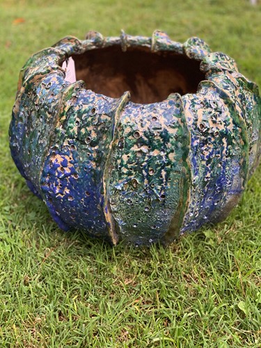 Sea Urchin Pot Medium