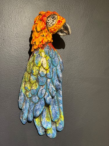 Parrot Wall Sculpture III (Macaw)