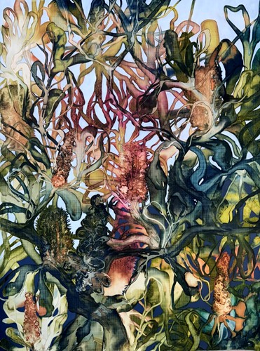 Banksia Grove