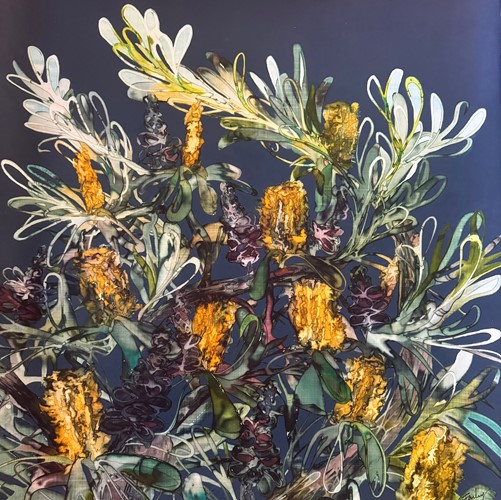 Banksia Wild Bloom by Farley Cameron