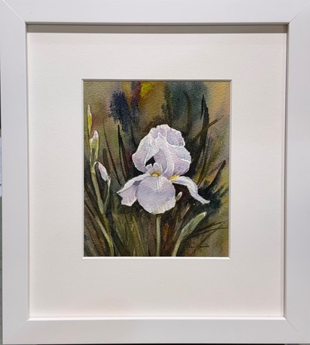 Iris by Dawn Lewis