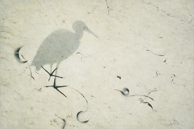 Bird n Canvas