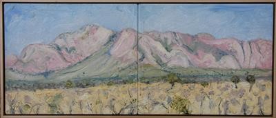 Papunya Range N.T. (Diptych) 2014
