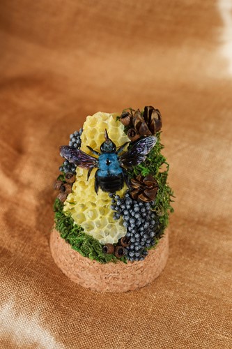 Xylocopa caerulea  aka Blue Carpenter Bee 