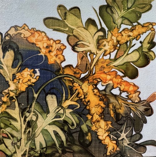 Wattle Sprig