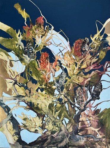 Banksia Abstraction 